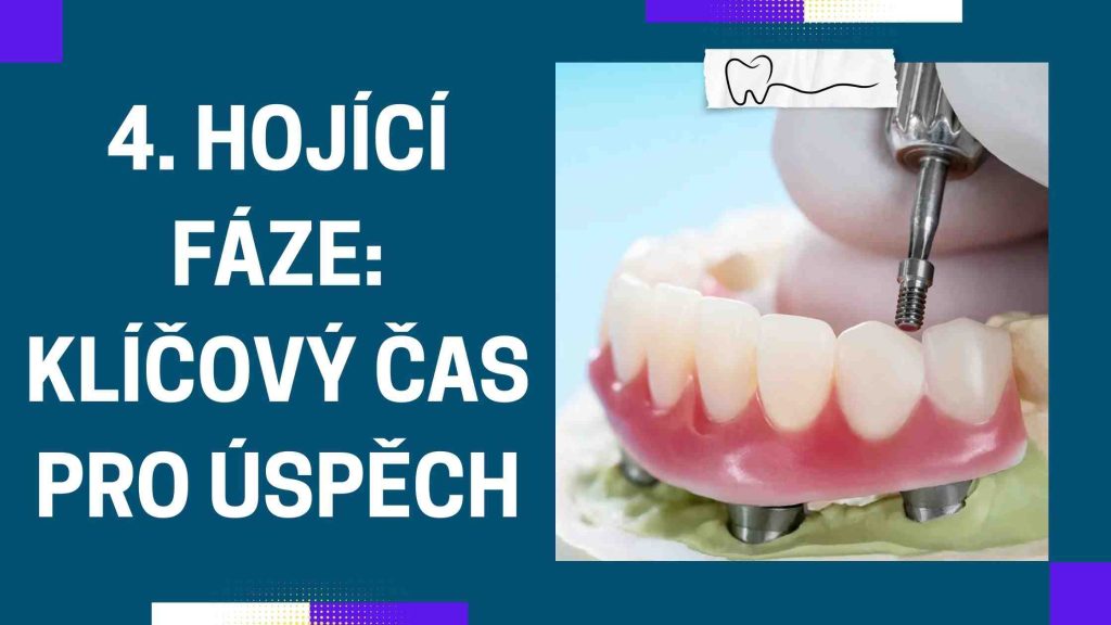 Hojící fáze_ klíčový čas pro úspěch